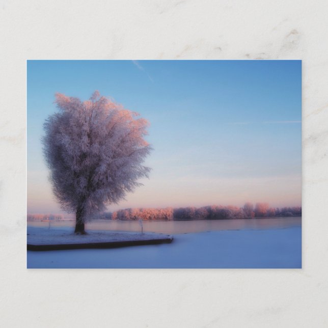 Snöiga Trädkort Vykort (Framsida)