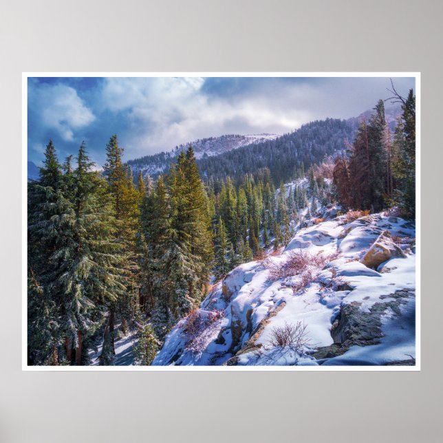 Snöigt Skogslandskap på Bergsvägg Konst | Vinter S Poster (Framsidan)