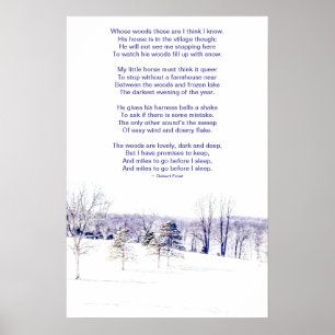 Snöigt vinterlandskap poster