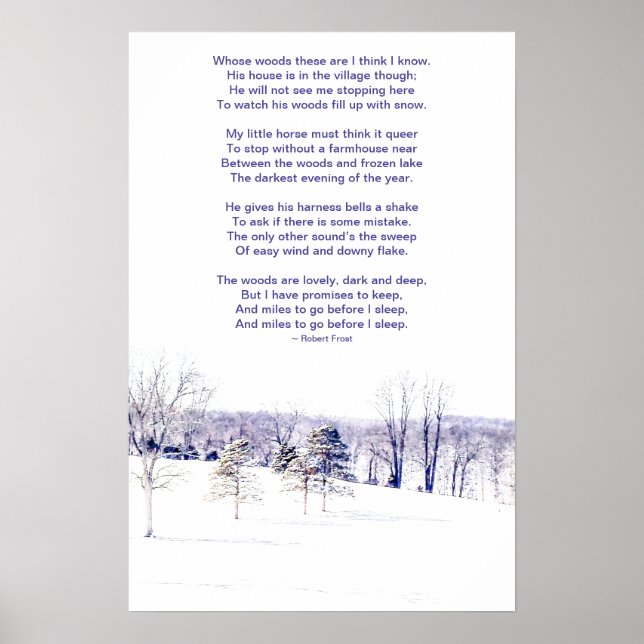 Snöigt vinterlandskap poster (Framsidan)