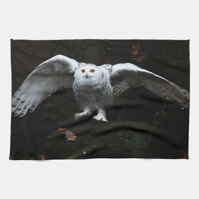 Snöj Uggla med öppen Vingar ktcna Kökshandduk (Horisontell)