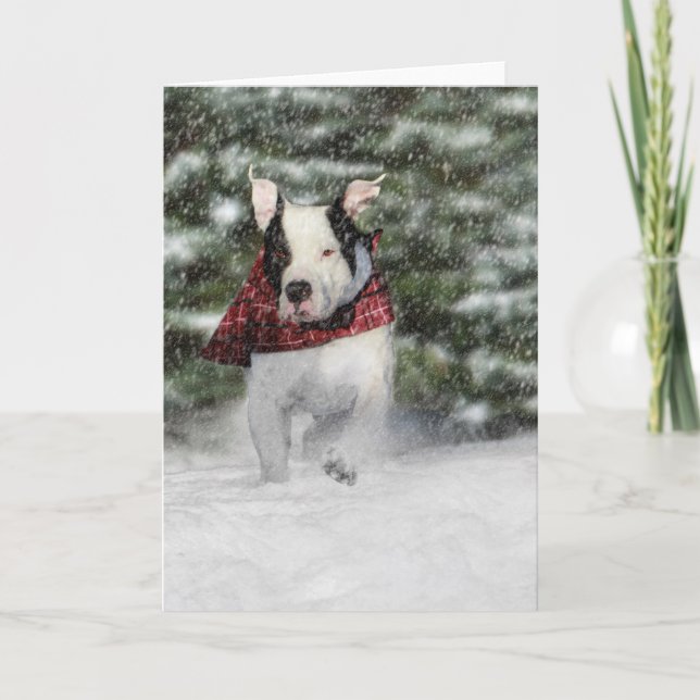 Snöjul Julhälsningar för Hund älskare Helgkort (Framsida)