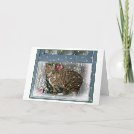 Snökatt julkort kort