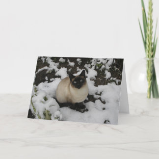 Snökatt Kort