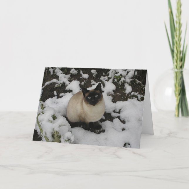 Snökatt Kort (Framsida)