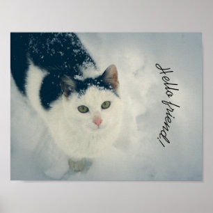 Snökatt Poster
