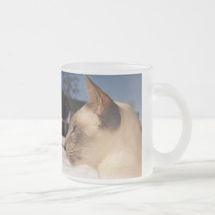 Snökatt - Siamese blått pekar profilerar Frostad Glasmugg
