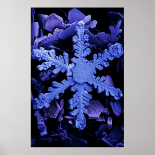 Snökristaller Poster