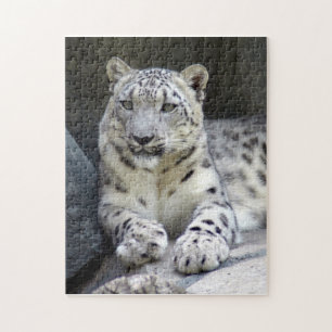 snöleopard 6 pussel