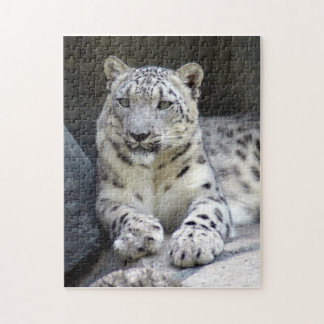 snöleopard 6 pussel