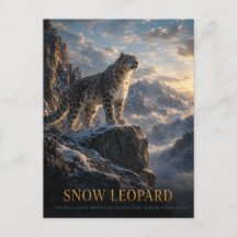 Snöleopard Alpina högländer DJUR