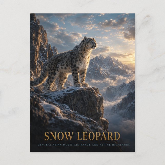 Snöleopard Alpina högländer DJUR Vykort (Framsida)