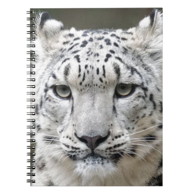 Snöleopard Anteckningsbok Med Spiral (Framsidan)