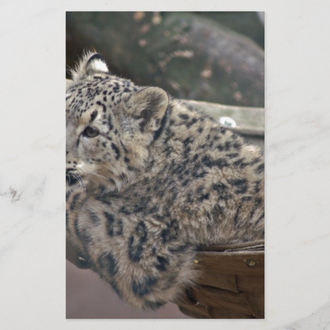 Snöleopard Brevpapper (Framsida)