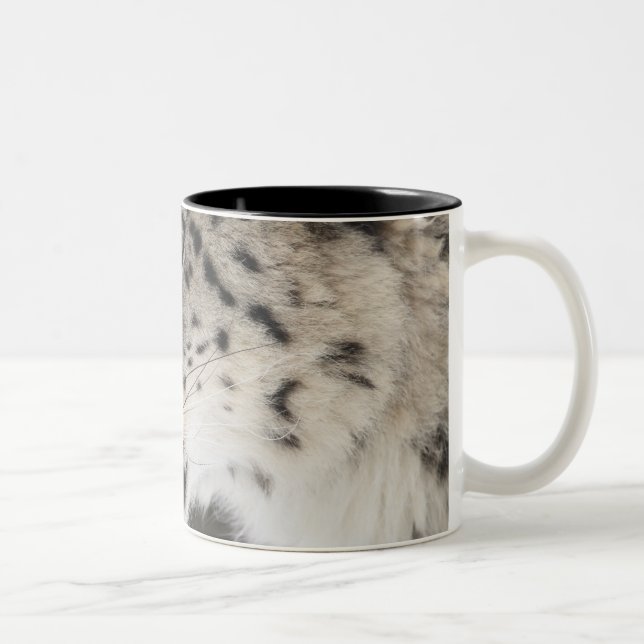 Snöleopard (den Uncia unciaen) Två-Tonad Mugg (Höger)