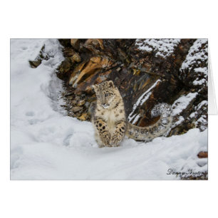 SnöLeopard Hälsningskort