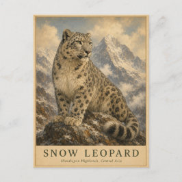 Snöleopard Himalaya VINTAGE Vykort
