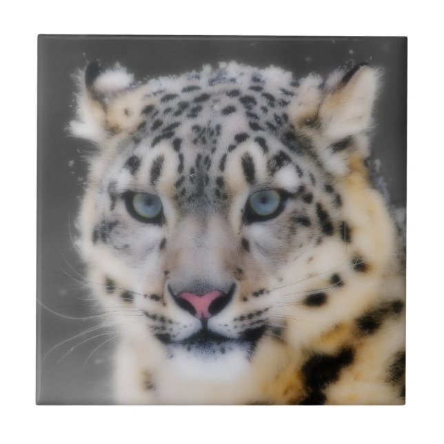 SnöLeopard Kakelplatta (Framsidan)