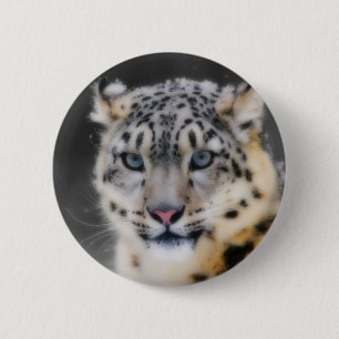 SnöLeopard Knapp