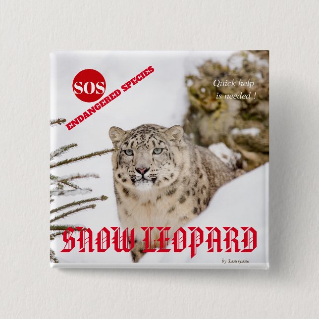 Snöleopard Knapp (Framsida)