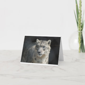 SnöLeopard Kort