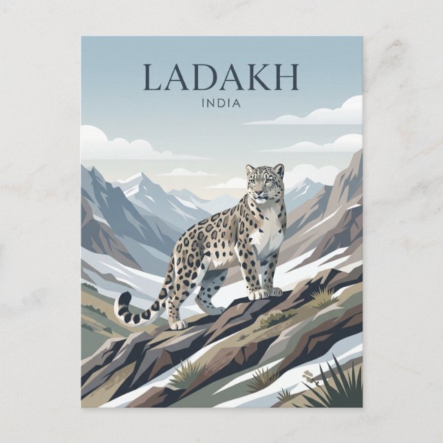 Snöleopard, Ladakh Indien Vykort (Framsida)
