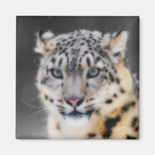 SnöLeopard Magnet