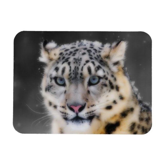 SnöLeopard Magnet (Horisontell)