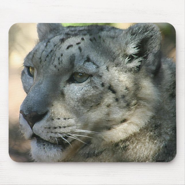 snöleopard musmatta (Framsidan)