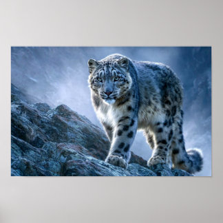 Snöleopard på bergstopp – Vilda djur naturen Poster
