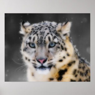 SnöLeopard Poster