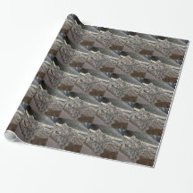 Snöleopard