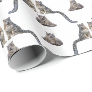 Snöleopard Raseri Presentpapper (välj färg)