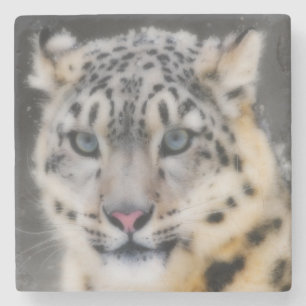 SnöLeopard Stenunderlägg