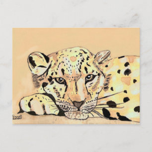 snöleopard vykort