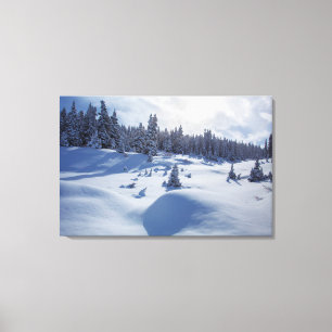 Snöliggande Canvastryck