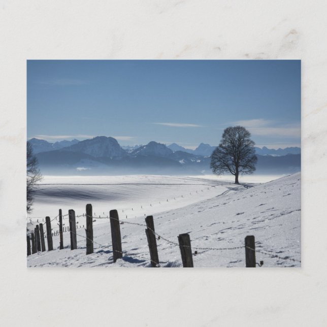 Snöliggande foto vykort (Framsida)