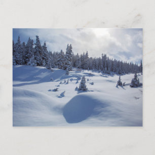 Snöliggande Vykort
