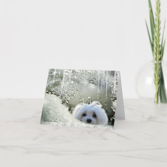 Snölj det maltesiska anteckningskortet kort (Framsida)