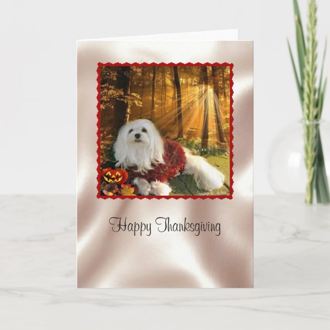 Snölj det maltesiska Thanksgivingen Card Helgkort (Framsida)