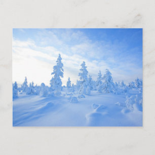snönära träd i Lappland i Finland Vykort