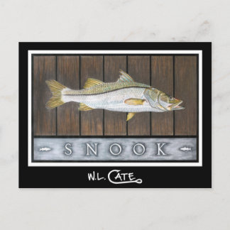 Snook-vykort Vykort