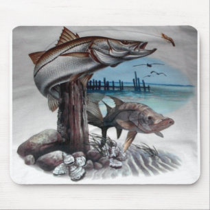 Snookmusen vadderar musmatta