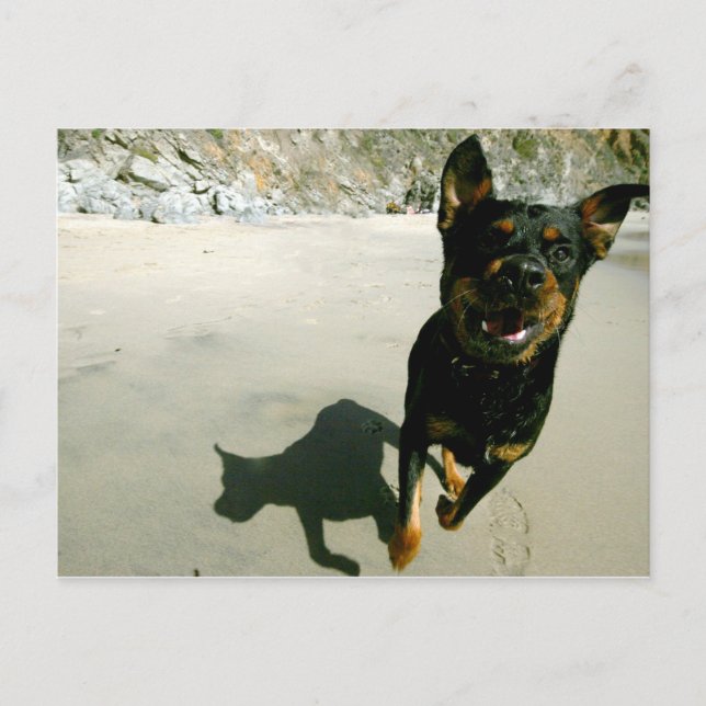 Snoop Vykort (Framsida)