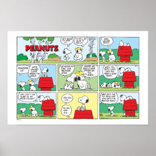 Snoopy & hans bröder Andy & Olaf Poster