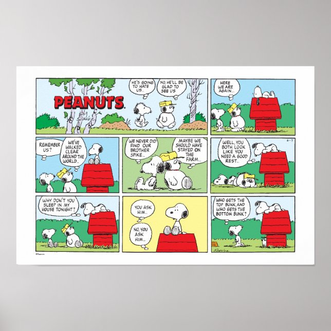 Snoopy & hans bröder Andy & Olaf Poster (Framsidan)