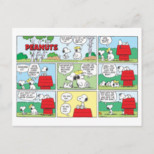 Snoopy och hans bröder Andy och Olaf Vykort