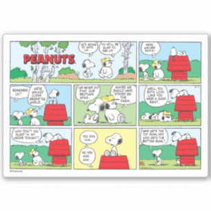 Snoopy och hans bröder Andy & Olaf Klistermärken