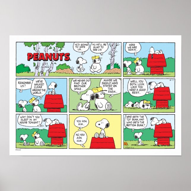 Snoopy och hans bröder Andy & Olaf Poster (Framsidan)