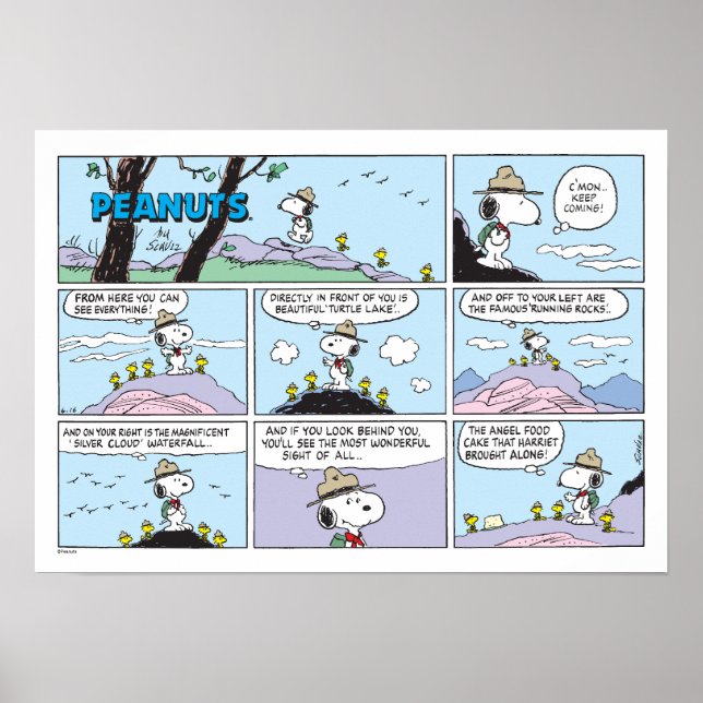 Snoopy & Vänner | Gå och leta Poster (Framsidan)